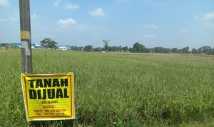 Harga Tanah Hari Ini Di Kota Jakarta Timur Versi Kami